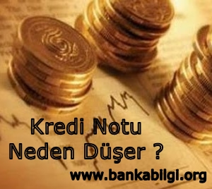 Kredi Notu Neden Düşer ?