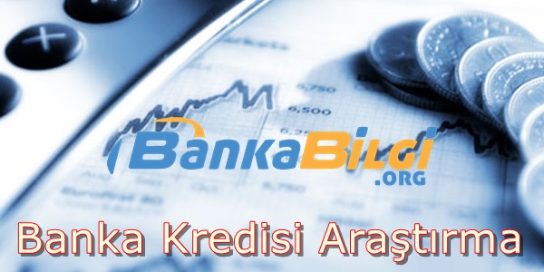 Banka Kredisi Araştırma