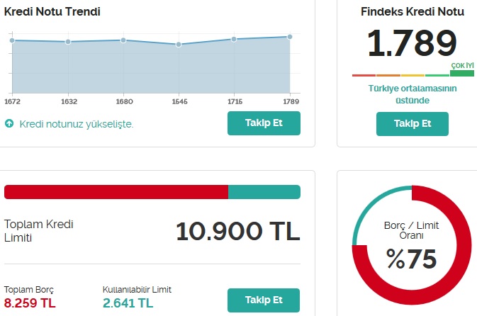 kredi notu hızlı yükseltme