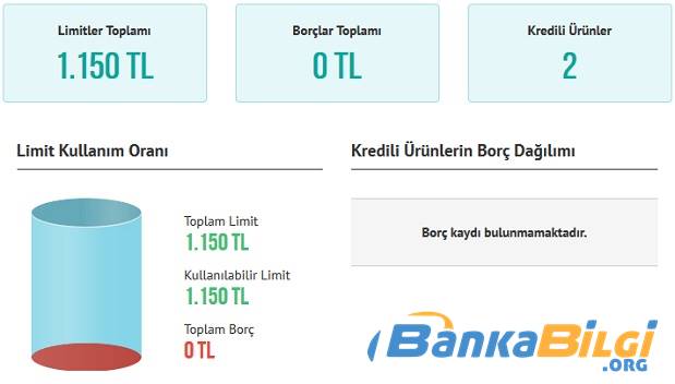 Kredi limiti neye göre verilir